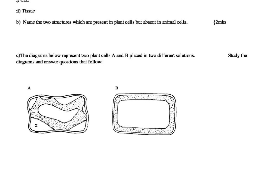 Form Three Biology Set 1 QS | Enhanced Education Group